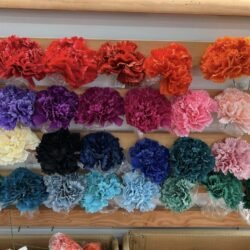 Flores de flamenca