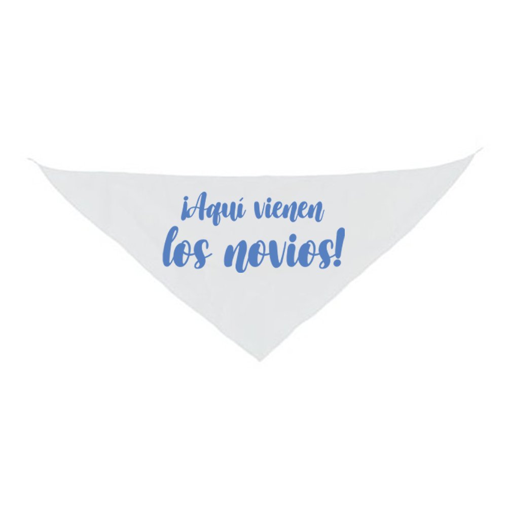 Pack de Entrada Novios Boda - Banderín y Pañoleta - Imagen 3